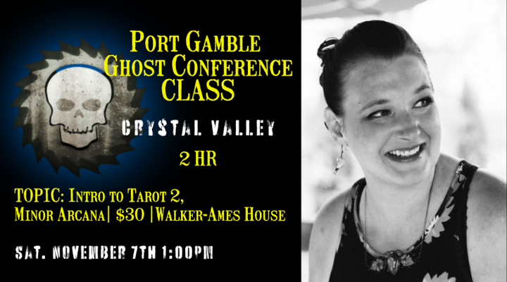 CLASS 6 PGGC 2026 Crystal Valley
