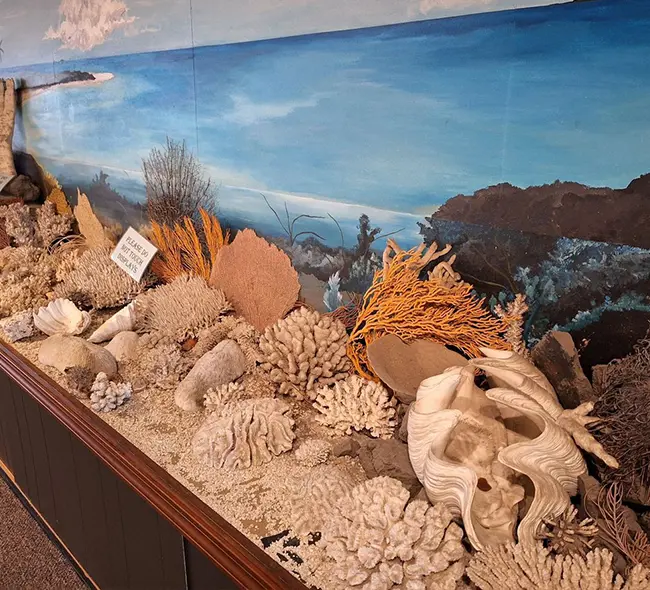 Sea Shore Museum Hero